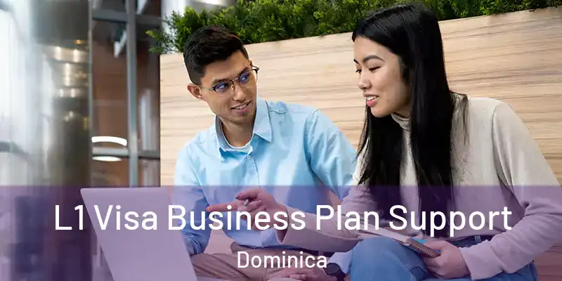  L1 Visa Business Plan Support Dominica