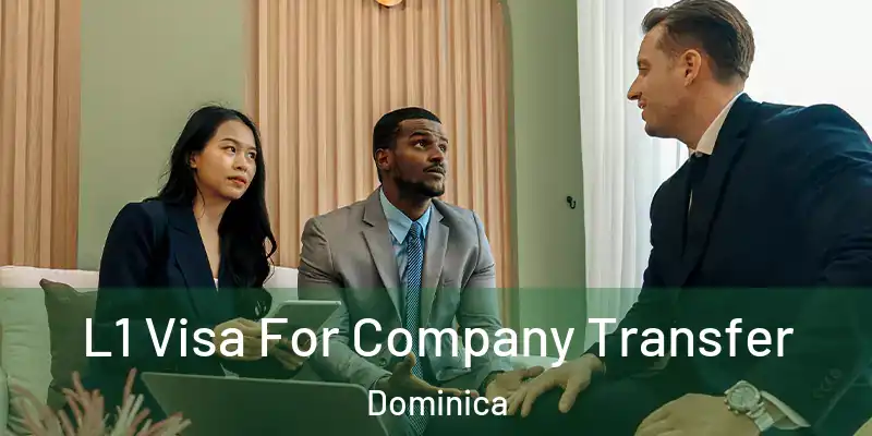  L1 Visa For Company Transfer Dominica
